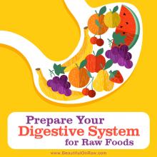 Digestive system and raw foods