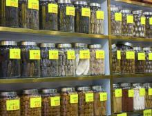 Chinese Herbal Medicine